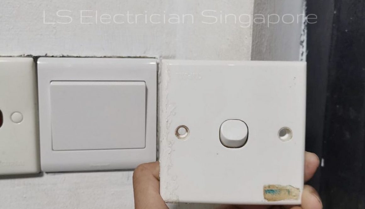 Supply And Replace 1 Gang Switch