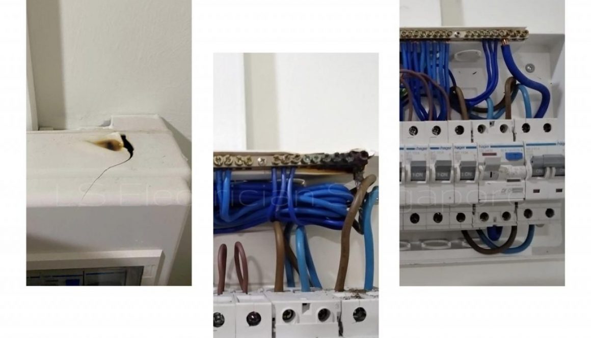 Replace DB Box Cover And Neutral Wire